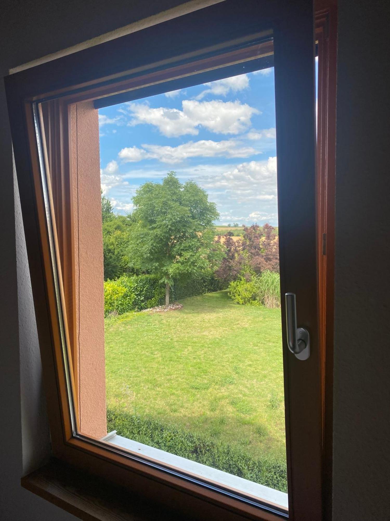 Maisonette-Ferienzimmer Am Backhausgarten 플론하임 외부 사진